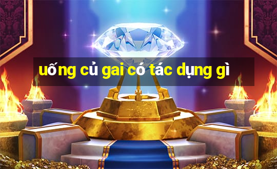 uống củ gai có tác dụng gì