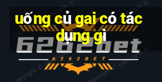 uống củ gai có tác dụng gì