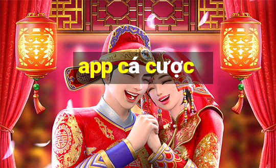 app cá cược