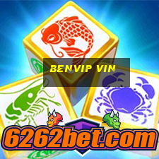 benvip vin