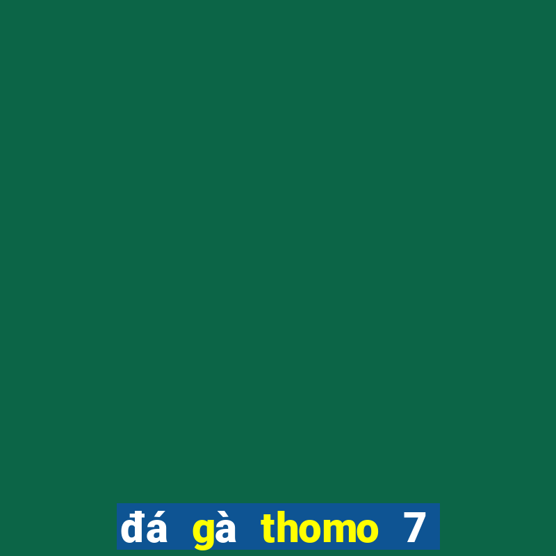 đá gà thomo 7 8 2024