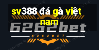 sv388 đá gà việt nam