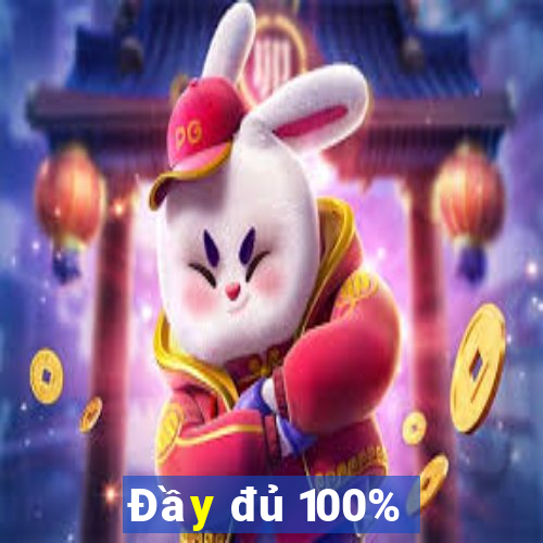 Đầy đủ 100%