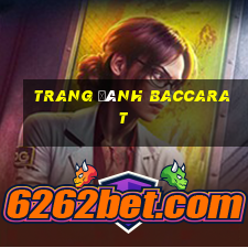 Trang đánh Baccarat