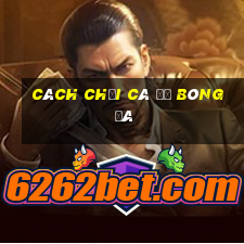 cách chơi cá độ bóng đá