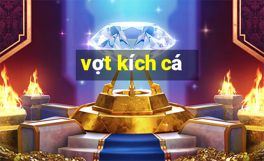 vợt kích cá