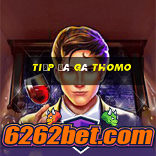 tiếp đá gà thomo