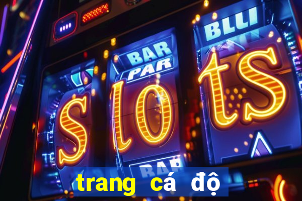 trang cá độ bóng đá dongtamlongan