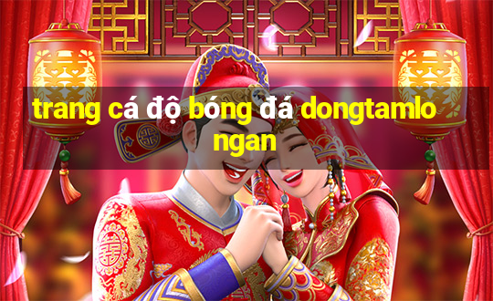 trang cá độ bóng đá dongtamlongan