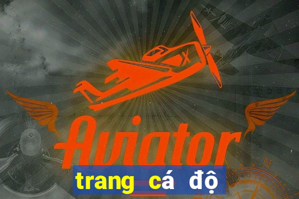 trang cá độ bóng đá dongtamlongan