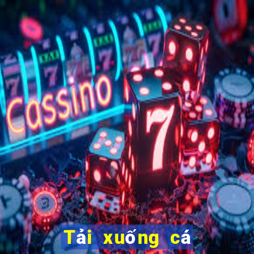 Tải xuống cá cược bóng đá