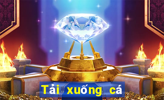 Tải xuống cá cược bóng đá