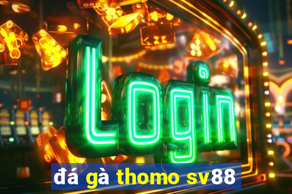 đá gà thomo sv88