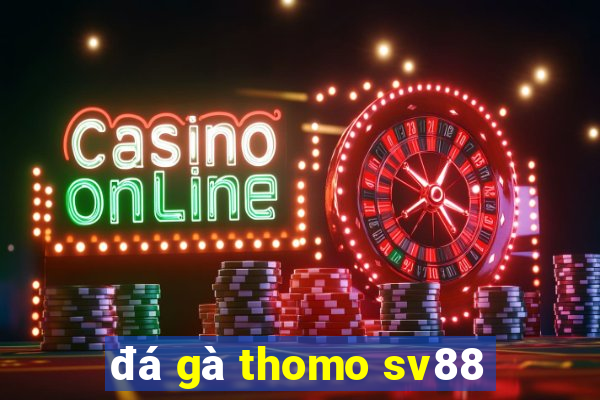 đá gà thomo sv88