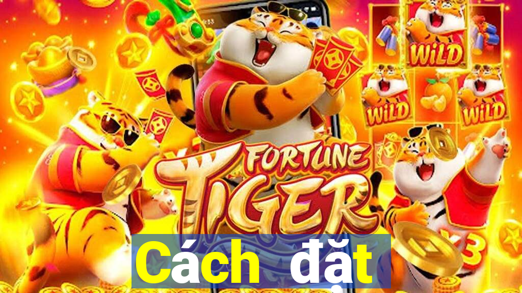 Cách đặt cược XSLD ngày 17