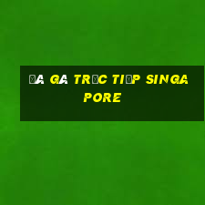 đá gà trực tiếp singapore