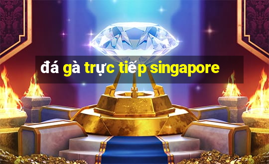 đá gà trực tiếp singapore