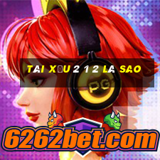 tài xỉu 2 1 2 là sao