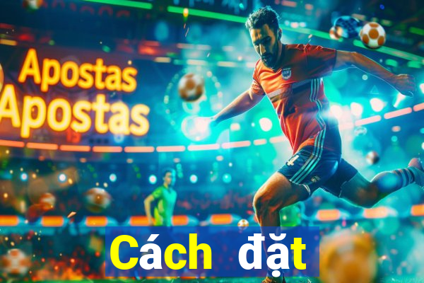 Cách đặt cược XSTV ngày 25