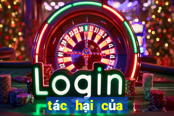 tác hại của game bắn cá