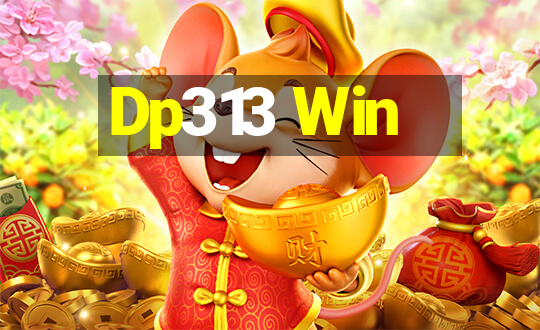 Dp313 Win