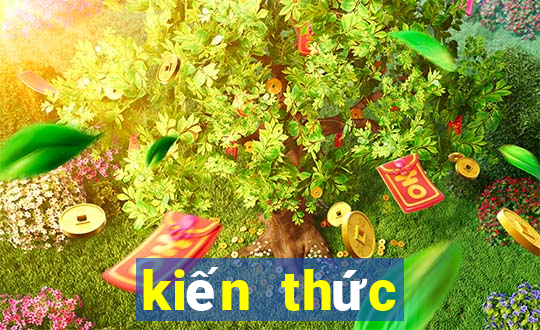 kiến thức casino kingbets