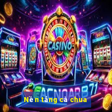 Nền tảng cà chua