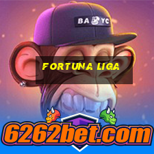 fortuna liga