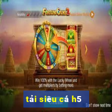 tải siêu cá h5