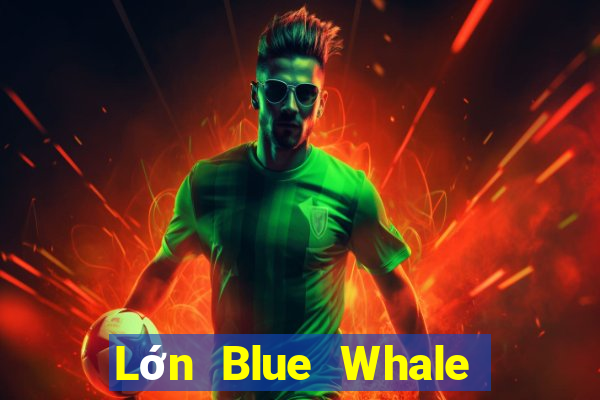 Lớn Blue Whale Giải trí