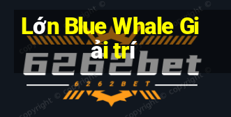 Lớn Blue Whale Giải trí