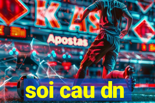 soi cau dn