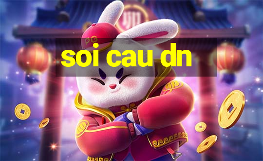 soi cau dn