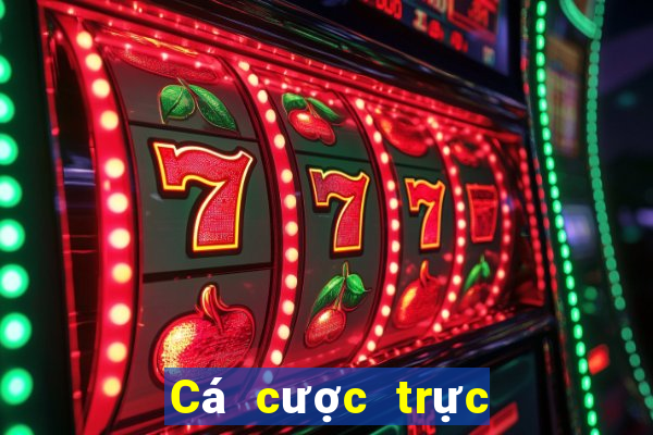 Cá cược trực tuyến 009 casino