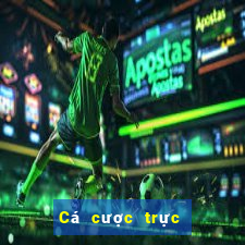 Cá cược trực tuyến 009 casino