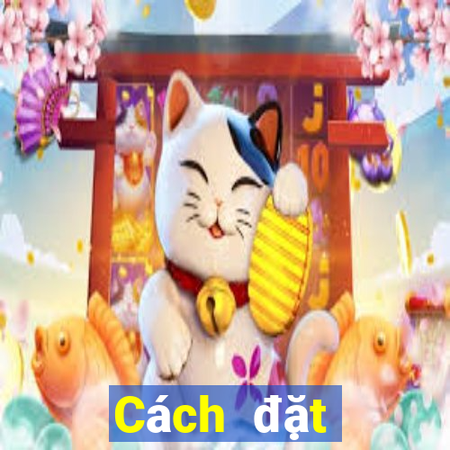 Cách đặt cược XSDT ngày 9