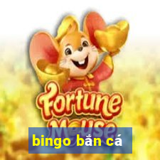 bingo bắn cá