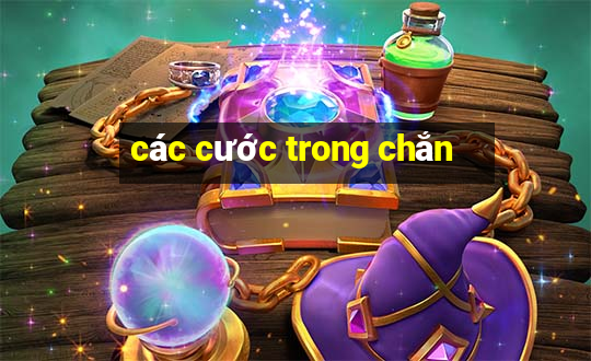 các cước trong chắn