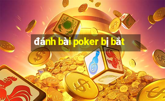 đánh bài poker bị bắt