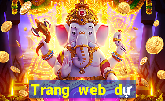 Trang web dự đoán bóng đá rất chính xác