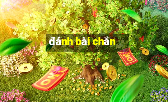 đánh bài chắn