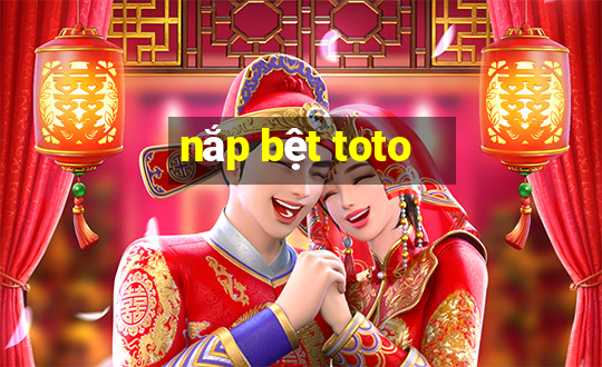 nắp bệt toto