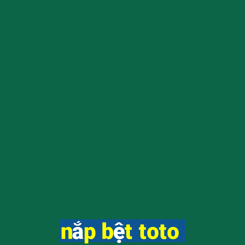 nắp bệt toto