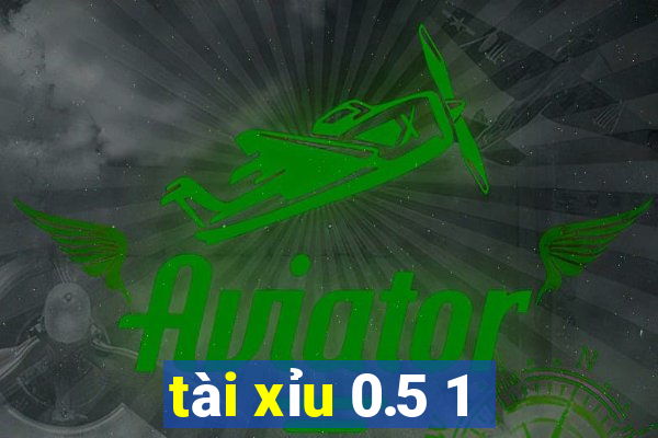 tài xỉu 0.5 1