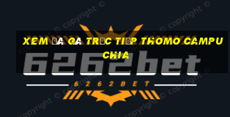 xem đá gà trực tiếp thomo campuchia