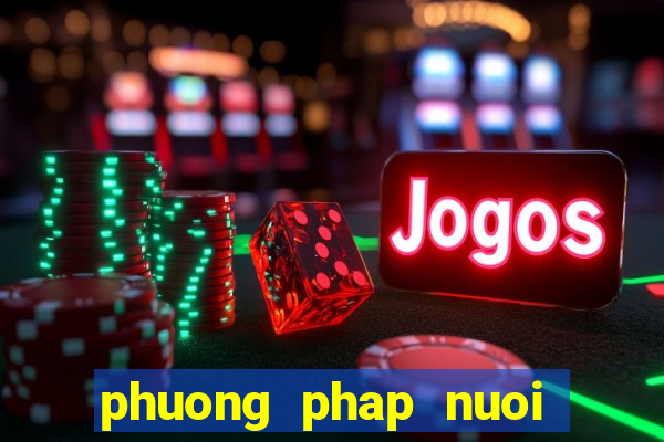 phuong phap nuoi lo hieu qua