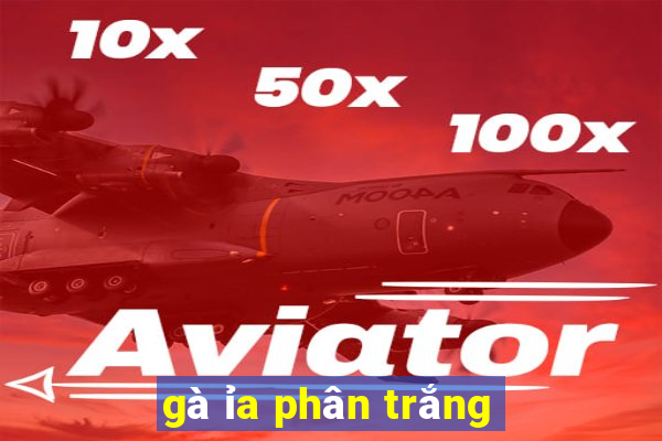 gà ỉa phân trắng