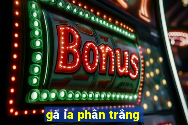 gà ỉa phân trắng