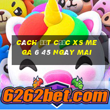 Cách đặt cược XS Mega 6 45 ngày mai