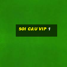 soi cau vip 1